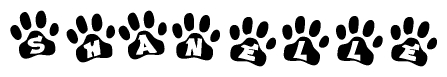 The image shows a series of animal paw prints arranged horizontally. Within each paw print, there's a letter; together they spell Shanelle