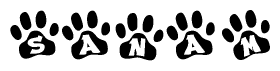 The image shows a series of animal paw prints arranged in a horizontal line. Each paw print contains a letter, and together they spell out the word Sanam.