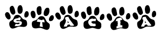 The image shows a series of animal paw prints arranged in a horizontal line. Each paw print contains a letter, and together they spell out the word Stacia.