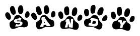 The image shows a row of animal paw prints, each containing a letter. The letters spell out the word Sandy within the paw prints.