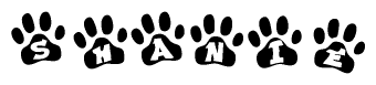 The image shows a series of animal paw prints arranged horizontally. Within each paw print, there's a letter; together they spell Shanie