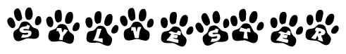 The image shows a series of animal paw prints arranged in a horizontal line. Each paw print contains a letter, and together they spell out the word Sylvester.