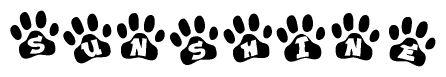 Animal Paw Prints with Sunshine Lettering