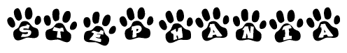 The image shows a series of animal paw prints arranged in a horizontal line. Each paw print contains a letter, and together they spell out the word Stephania.