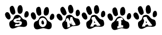 Animal Paw Prints with Somaia Lettering