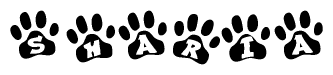 Animal Paw Prints with Sharia Lettering