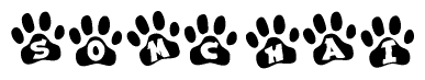 Animal Paw Prints with Somchai Lettering