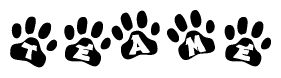 The image shows a series of animal paw prints arranged horizontally. Within each paw print, there's a letter; together they spell Teame