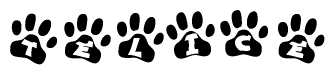 The image shows a series of animal paw prints arranged in a horizontal line. Each paw print contains a letter, and together they spell out the word Telice.