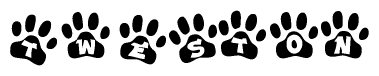 The image shows a series of animal paw prints arranged in a horizontal line. Each paw print contains a letter, and together they spell out the word Tweston.