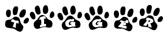 The image shows a series of animal paw prints arranged horizontally. Within each paw print, there's a letter; together they spell Tigger