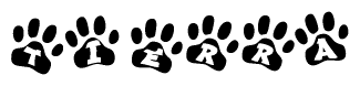 The image shows a series of animal paw prints arranged in a horizontal line. Each paw print contains a letter, and together they spell out the word Tierra.