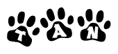 The image shows a series of animal paw prints arranged horizontally. Within each paw print, there's a letter; together they spell Tan