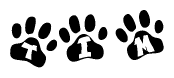 The image shows a series of animal paw prints arranged in a horizontal line. Each paw print contains a letter, and together they spell out the word Tim.
