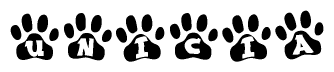 The image shows a row of animal paw prints, each containing a letter. The letters spell out the word Unicia within the paw prints.