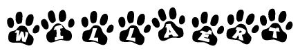 The image shows a series of animal paw prints arranged horizontally. Within each paw print, there's a letter; together they spell Willaert