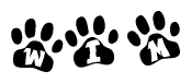The image shows a series of animal paw prints arranged in a horizontal line. Each paw print contains a letter, and together they spell out the word Wim.
