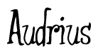 The image is of the word Audrius stylized in a cursive script.