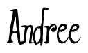 The image is of the word Andree stylized in a cursive script.