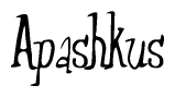 Cursive 'Apashkus' Text
