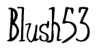 The image is a stylized text or script that reads 'Blush53' in a cursive or calligraphic font.
