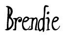 The image is of the word Brendie stylized in a cursive script.