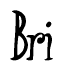 The image is of the word Bri stylized in a cursive script.