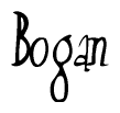 The image is of the word Bogan stylized in a cursive script.