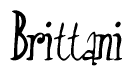 The image is a stylized text or script that reads 'Brittani' in a cursive or calligraphic font.