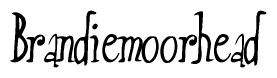 The image is a stylized text or script that reads 'Brandiemoorhead' in a cursive or calligraphic font.
