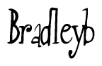 The image contains the word 'Bradleyb' written in a cursive, stylized font.