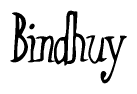 The image contains the word 'Bindhuy' written in a cursive, stylized font.