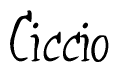 The image is of the word Ciccio stylized in a cursive script.