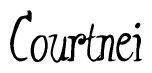 The image contains the word 'Courtnei' written in a cursive, stylized font.