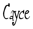 The image contains the word 'Cayce' written in a cursive, stylized font.