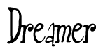 The image is of the word Dreamer stylized in a cursive script.