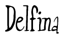 The image is a stylized text or script that reads 'Delfina' in a cursive or calligraphic font.