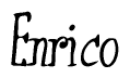 The image is of the word Enrico stylized in a cursive script.