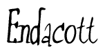 The image is a stylized text or script that reads 'Endacott' in a cursive or calligraphic font.