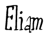 The image is of the word Eliam stylized in a cursive script.