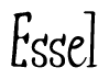 The image is of the word Essel stylized in a cursive script.