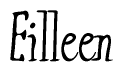 The image contains the word 'Eilleen' written in a cursive, stylized font.