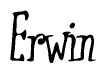 The image is of the word Erwin stylized in a cursive script.