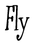 The image is of the word Fly stylized in a cursive script.