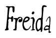 The image is of the word Freida stylized in a cursive script.