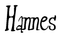 The image is a stylized text or script that reads 'Hannes' in a cursive or calligraphic font.