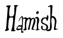 The image is of the word Hamish stylized in a cursive script.