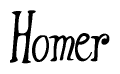 The image is of the word Homer stylized in a cursive script.