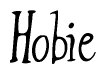 The image is of the word Hobie stylized in a cursive script.