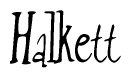 The image is of the word Halkett stylized in a cursive script.